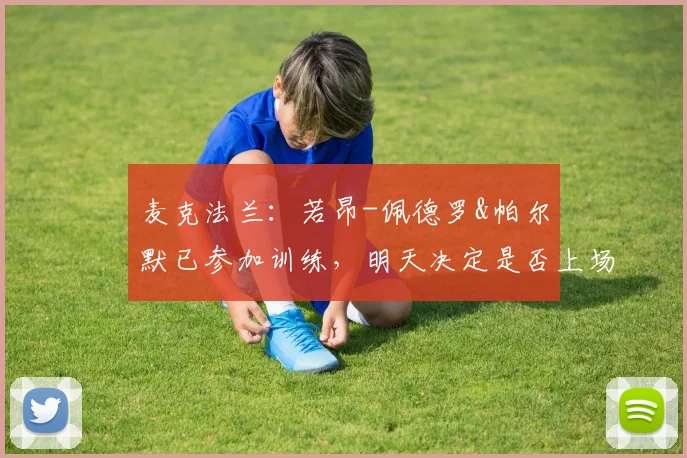 麦克法兰：若昂-佩德罗&帕尔默已参加训练，明天决定是否上场